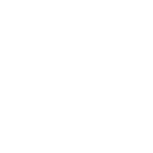 Icon of a flag planted on a mountain peak symbolizing fractional marketing leadership and strategic oversight services.
