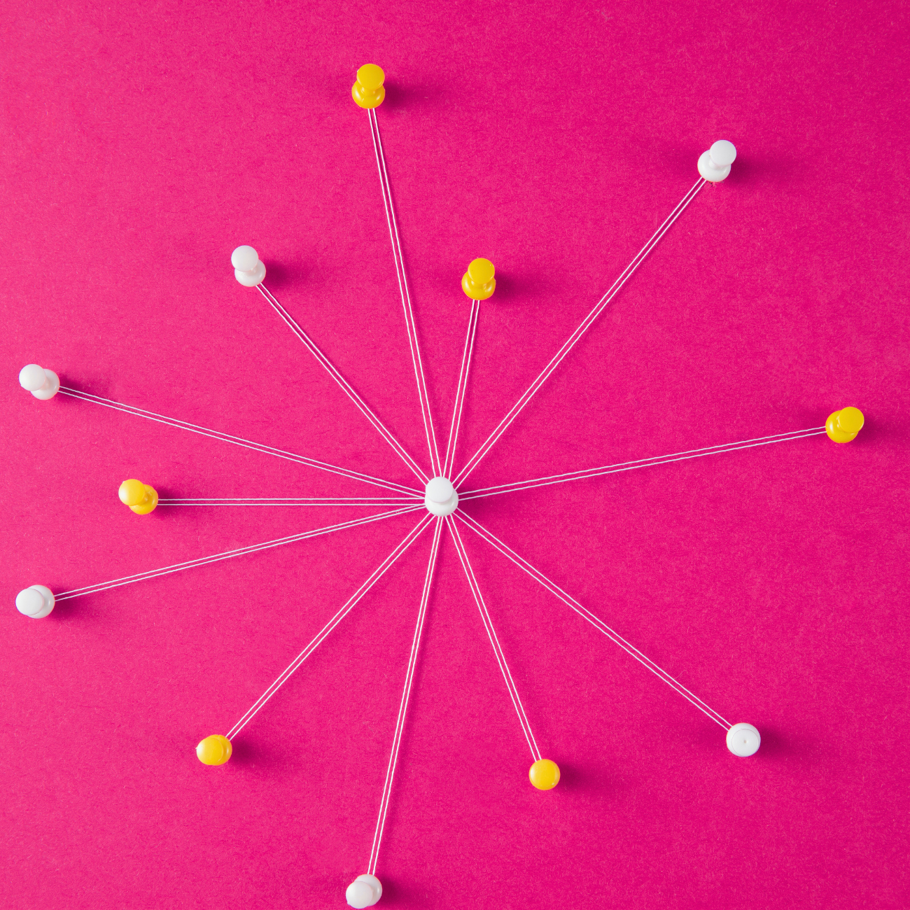 magtyne image_pink bg_connected pins Open book pages fanned out against pink background